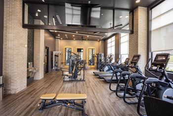 A large fitness room with cardio equipment and windows